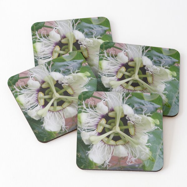 Item preview, Passiflora edulis designed and sold by EEBreet.