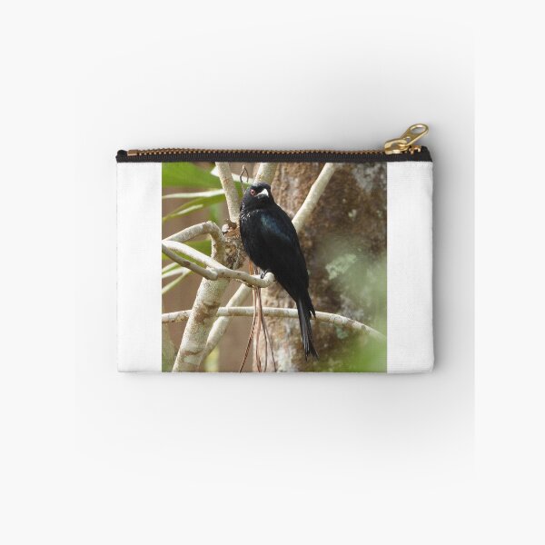 Item preview, Spangled Drongo designed and sold by ongarra.