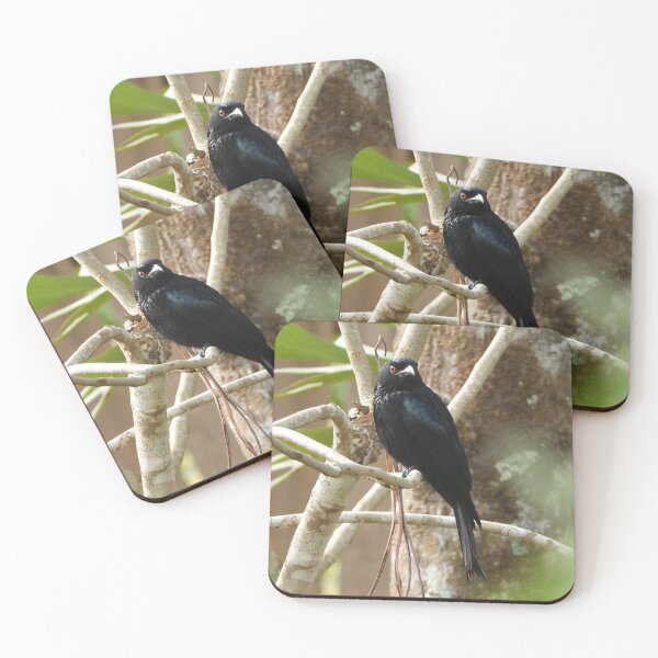 Item preview, Spangled Drongo designed and sold by ongarra.