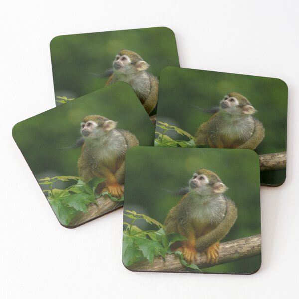 Item preview, Squirrel monkey designed and sold by rawshutterbug.