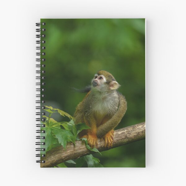 Item preview, Squirrel monkey designed and sold by rawshutterbug.