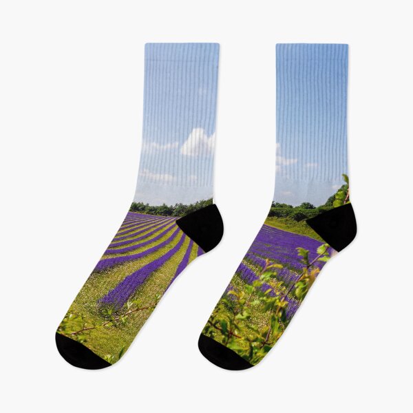 Item preview, Luscious  lavender designed and sold by ScenicViewPics.