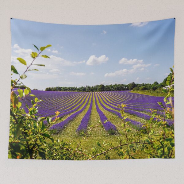 Item preview, Luscious  lavender designed and sold by ScenicViewPics.