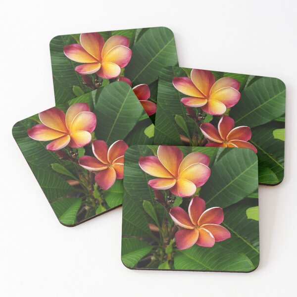 Item preview, Frangipani designed and sold by ongarra.