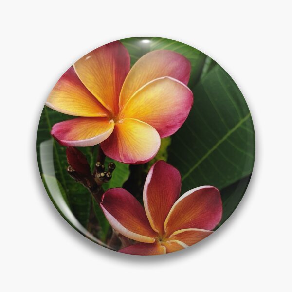 Item preview, Frangipani designed and sold by ongarra.