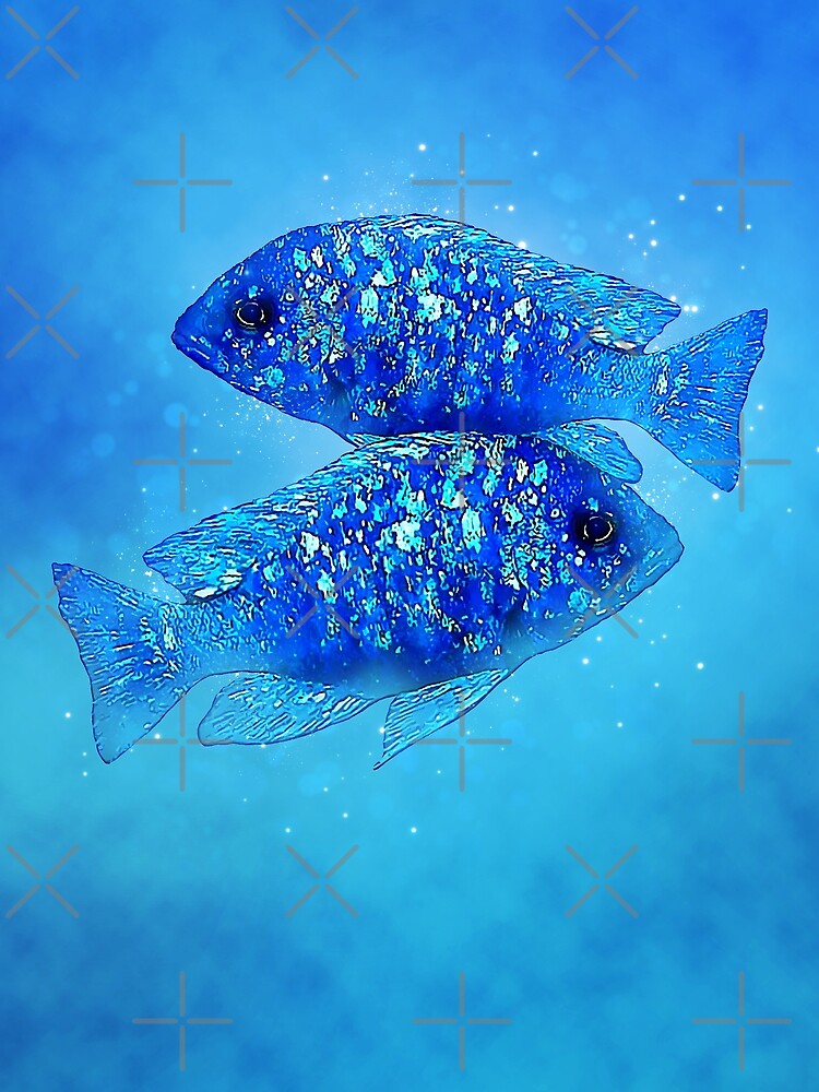 "Mirrorball Cichlid" Tshirt for Sale by GFishy Redbubble