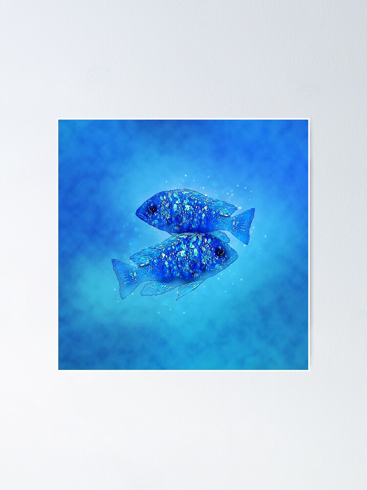 "Mirrorball Cichlid" Poster by GFishy Redbubble