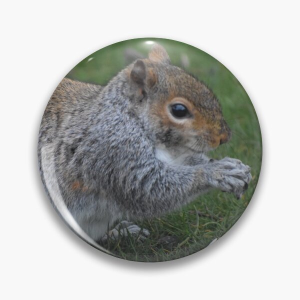 Item preview, Thankful Squirrel designed and sold by happinessofmind.