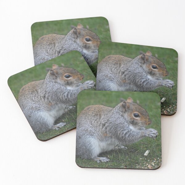 Item preview, Thankful Squirrel designed and sold by happinessofmind.