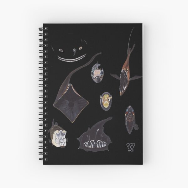 Deep Sea Fish, Some Seen from the Bathysphere Spiral Notebook