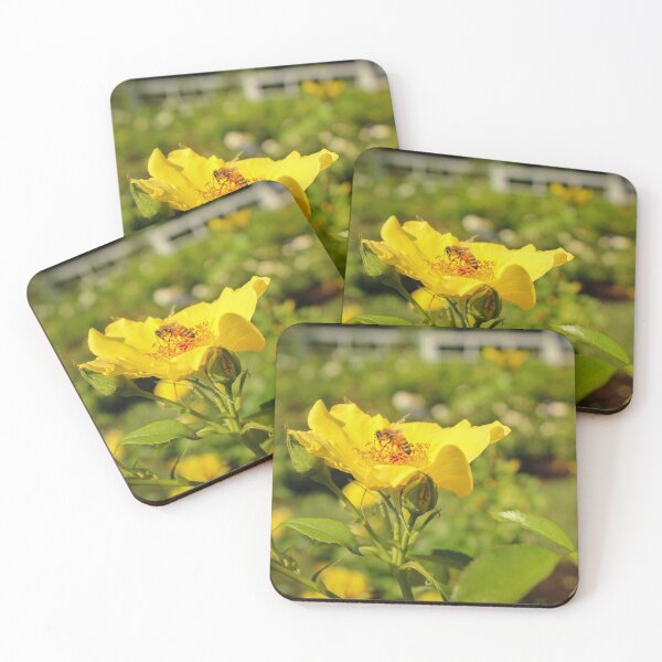 Item preview, Busy bees buzzing designed and sold by gtallman.
