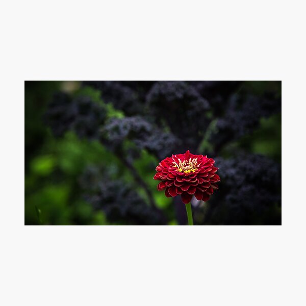 Item preview, Lauterbrunnen Switzerland designed and sold by Tommyg83.