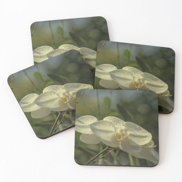 Item preview, White Orchid with Dew  designed and sold by gtallman.