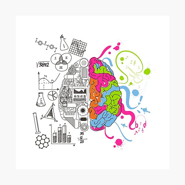 Analytical and Creative Brain Photographic Print