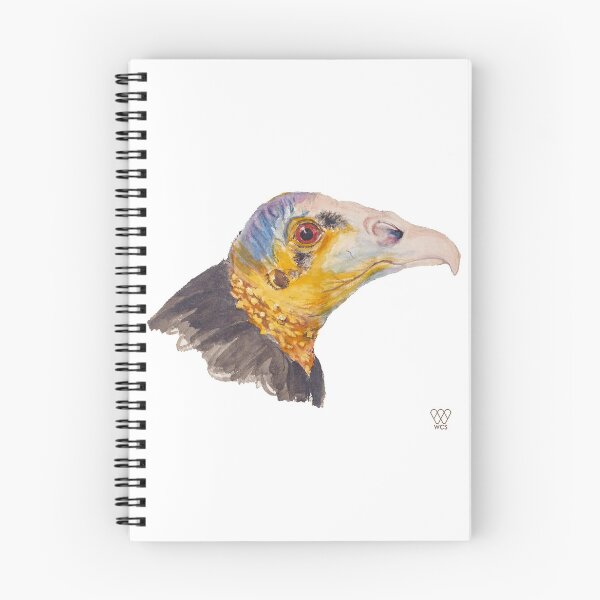 Item preview, Vulture designed and sold by WCS-Archives.