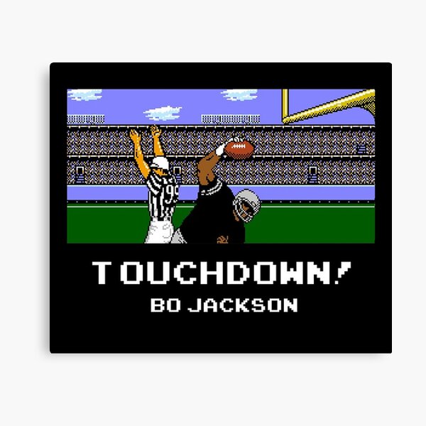 Touchdown! Bo Canvas Print