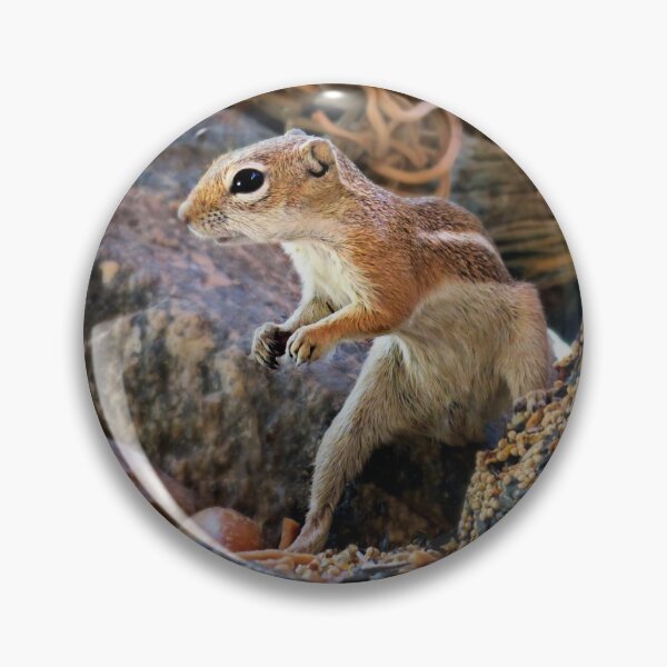 Item preview, Guarding The Food designed and sold by Susan McKenzie Bergstrom.