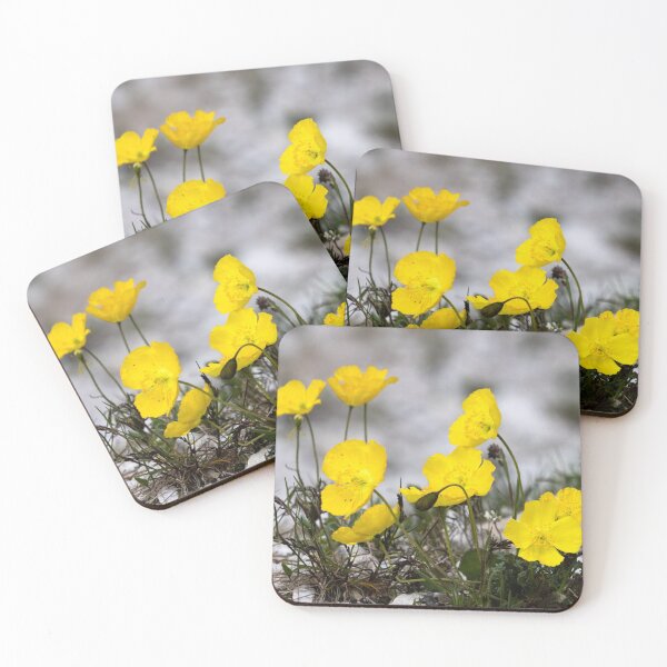 Item preview, Alpine Rhaeticum Poppy designed and sold by nbrandsberg.
