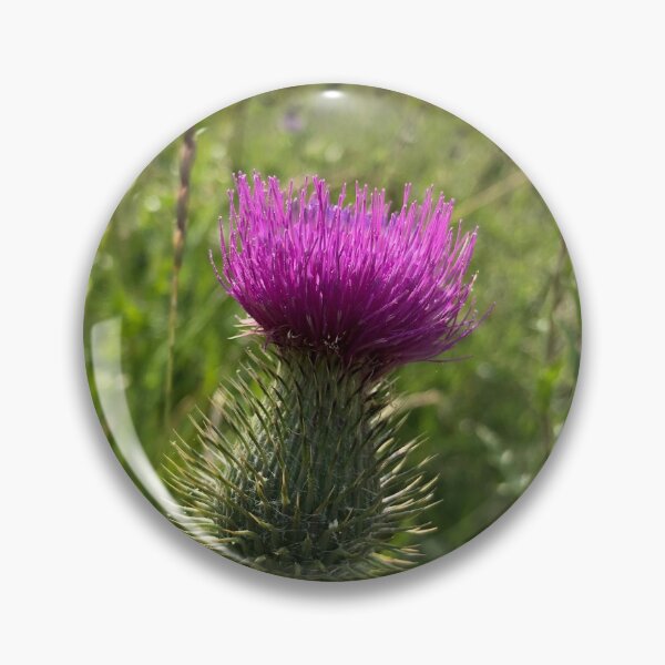 Item preview, Tidsel flowe designed and sold by elaine-gregers.