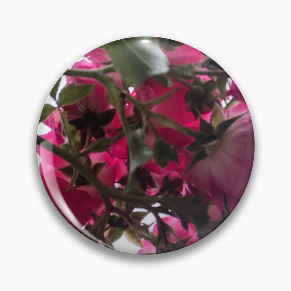 Item preview, Behind roses designed and sold by elaine-gregers.