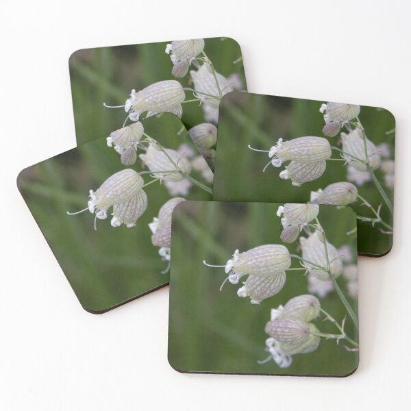 Item preview, Alpine Dolomite Bell Shaped Wildflower designed and sold by nbrandsberg.