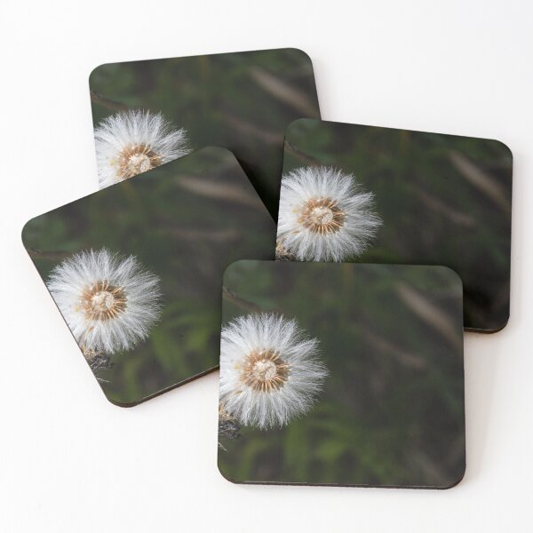 Item preview, Alpine Dandelion Gone to Seed designed and sold by nbrandsberg.