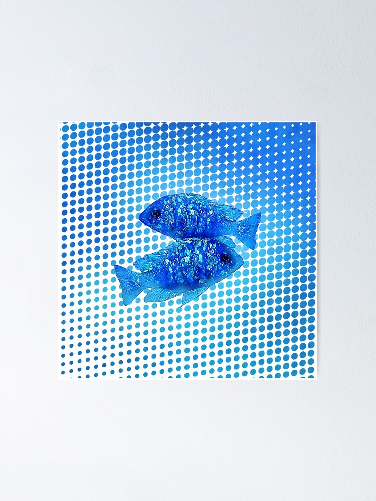 "Mirrorball Cichlid" Poster for Sale by GFishy Redbubble