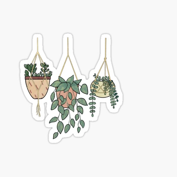 Item preview, watercolor hanging plants designed and sold by rindifferent.