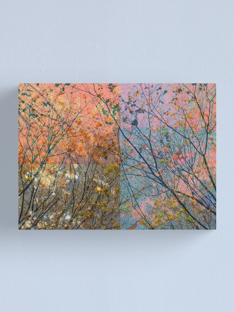 Thumbnail 1 of 3, Canvas Print, Pacify designed and sold by Andy Rhodes Art.