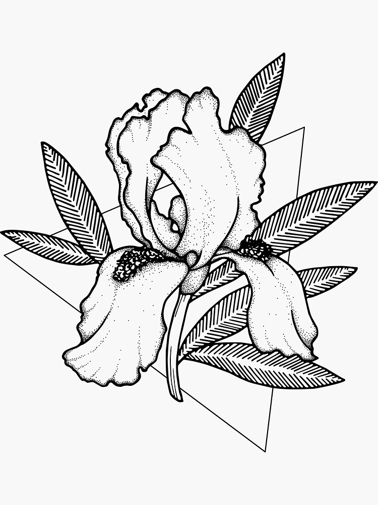 "Iris flower Line art hand drawn illustration. " Sticker for Sale by