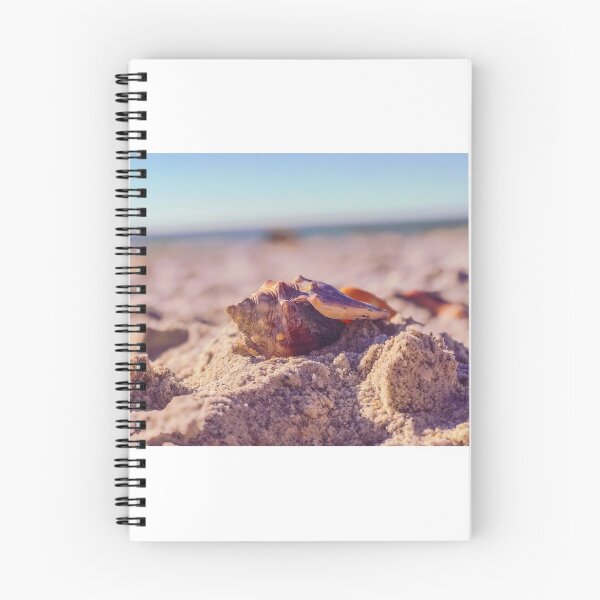 Item preview, Magic conch  designed and sold by MDRNphotos.