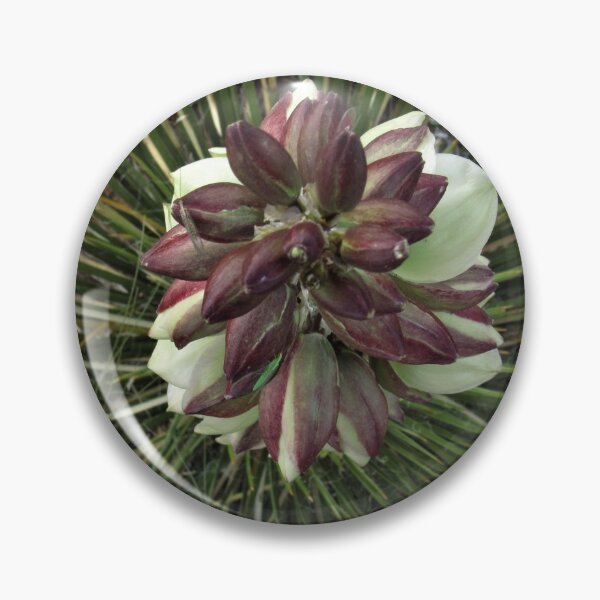 Item preview, Top view of a flowering Yucca  designed and sold by nmwildchiles.