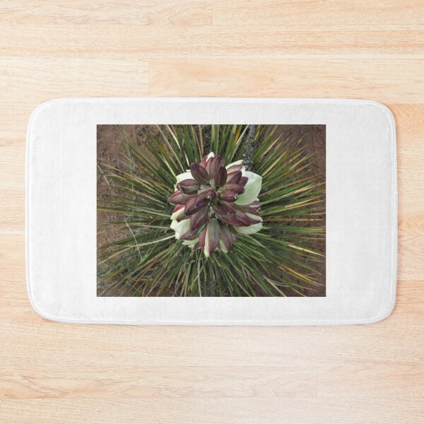 Item preview, Top view of a flowering Yucca  designed and sold by nmwildchiles.