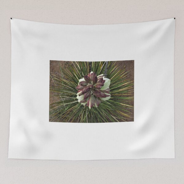 Item preview, Top view of a flowering Yucca  designed and sold by nmwildchiles.