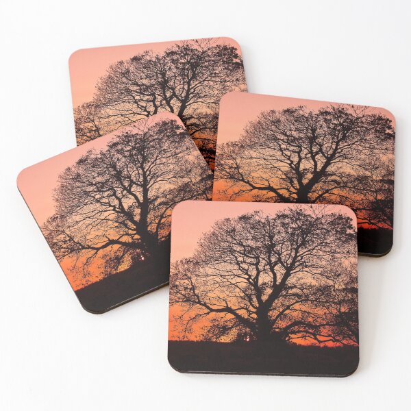 Item preview, A wide old tree in rural countryside at sunset designed and sold by chiaravisuals.