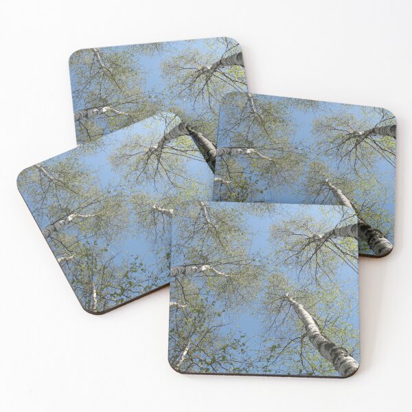 Item preview, Among the birches  designed and sold by SariePhotograph.