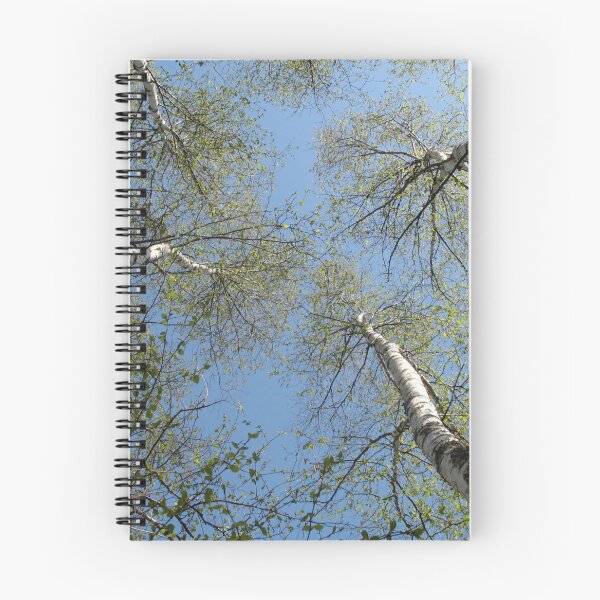 Item preview, Among the birches  designed and sold by SariePhotograph.