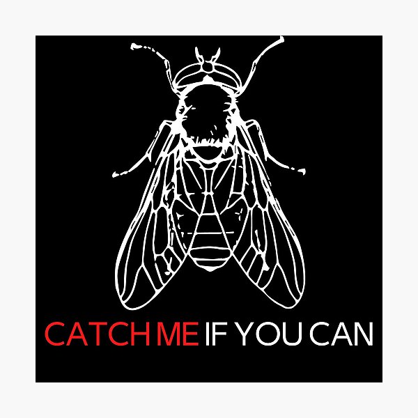 Catch me if you can fun fly design Photographic Print