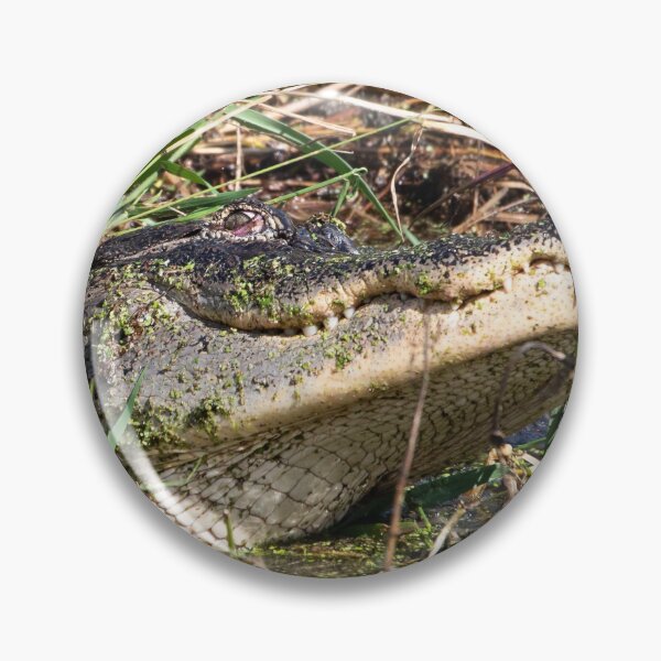 Item preview, Death Wink designed and sold by InhumanImaging.