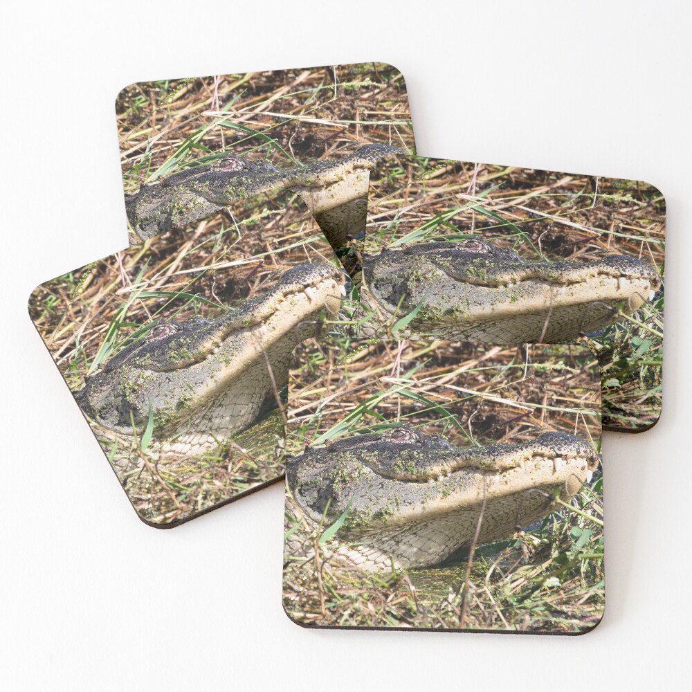 Item preview, Coasters (Set of 4) designed and sold by InhumanImaging.