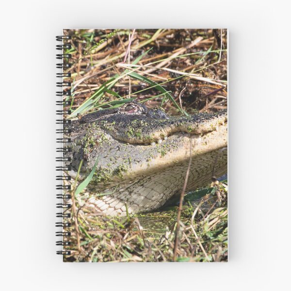Item preview, Death Wink designed and sold by InhumanImaging.