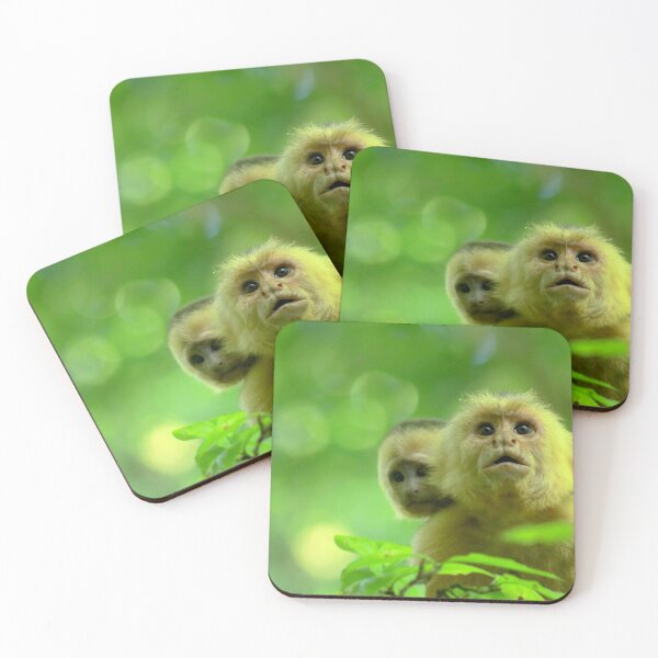Item preview, White faced monkey "Capuchin" designed and sold by CostaRicaNature.