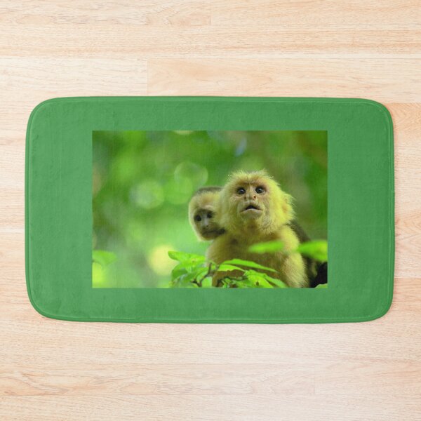 Item preview, White faced monkey "Capuchin" designed and sold by CostaRicaNature.