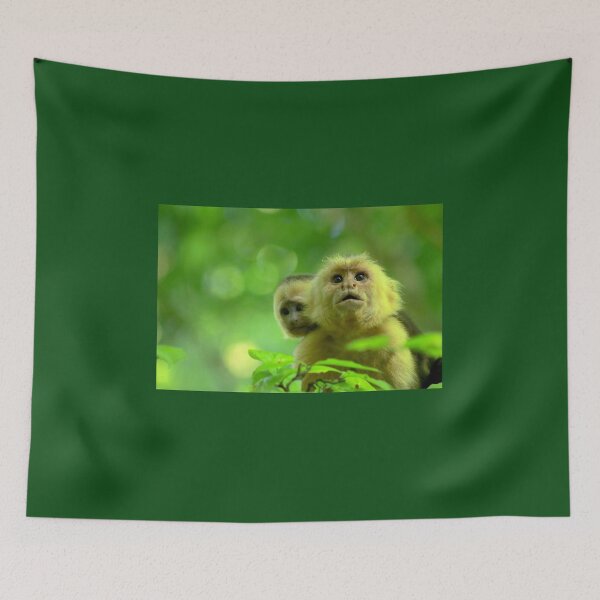 Item preview, White faced monkey "Capuchin" designed and sold by CostaRicaNature.
