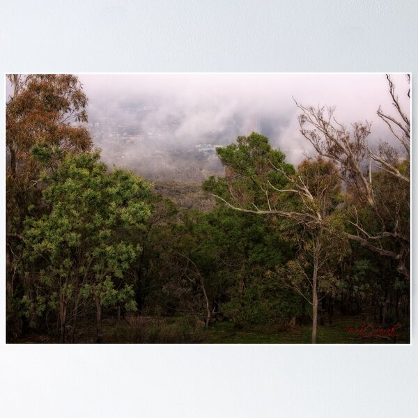 Item preview, Mount Ainslee in the Fog (6) designed and sold by Wolf Sverak Photography.