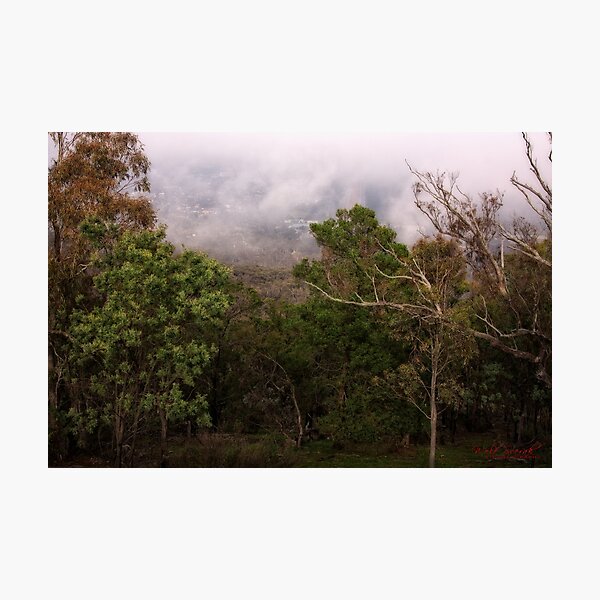 Item preview, Mount Ainslee in the Fog (6) designed and sold by Wolf Sverak Photography.