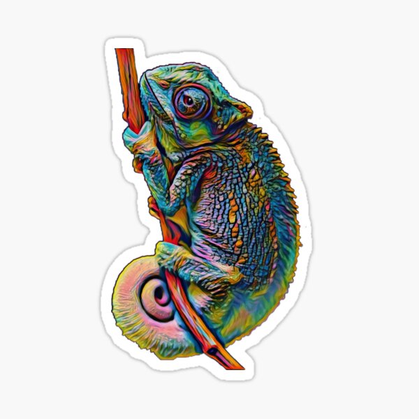 Rainbow Chameleon Sticker For Sale By Mady Lynn16 Redbubble 9111