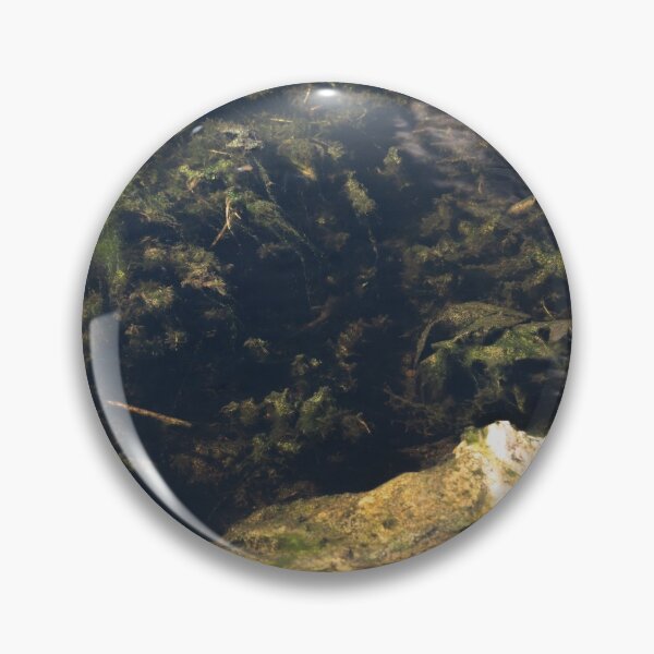 Item preview, Aqua Planet designed and sold by InhumanImaging.