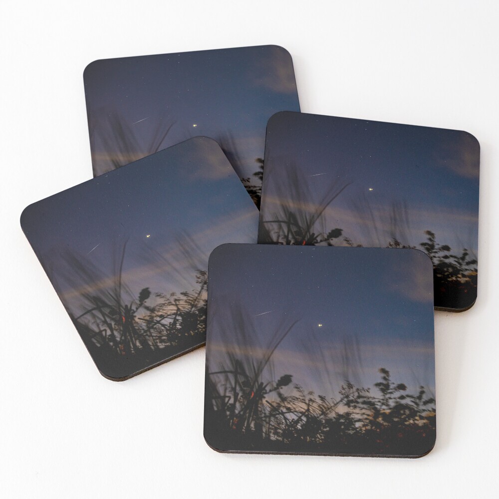 Item preview, Coasters (Set of 4) designed and sold by InhumanImaging.