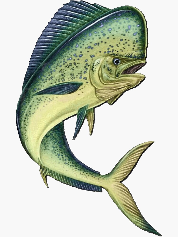 "Mahi Mahi jumping out of water" Sticker for Sale by HuntingMerch